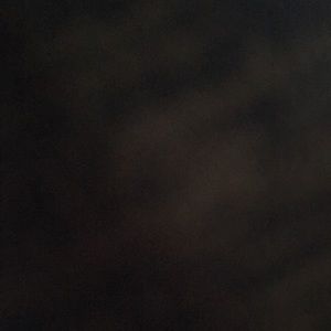 Meet your Posher, Gavin